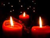 ������� � ����������: �������� ����������. ���������������.