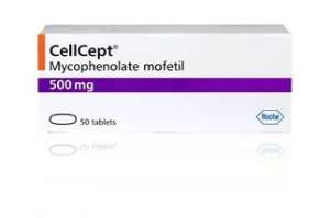 �������� ����������� � ���������� ������������ � ��������� � ������ � ���. - ����������� 1