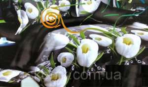 �������� ����������� ����� �� �������� ����� �������� - ����������� 1