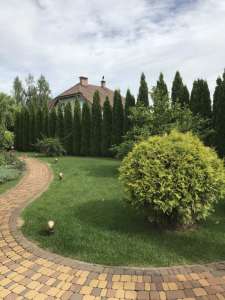 �������� ����������� ������, ���� ����� - ����������� 1