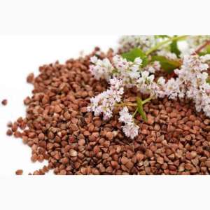 �������� ����������� ������� - ����������� 1