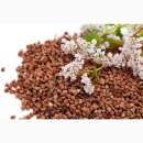 ������� � ����������: �������� ����������� �������