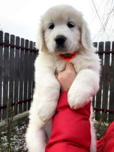 �������� ����������� �������� - ����������� 1