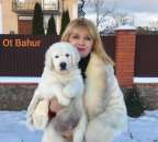 ������� � ����������: �������� ����������� ��������