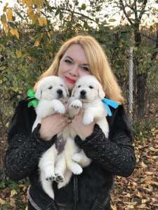 �������� ����������� �������� Ot Bahur - ����������� 1