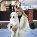 �������� ����������� �������� �� �����. �������� �������� - �������/�������