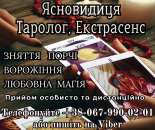 ������� � ����������: �������� �����������. ��������. ������ ��������.