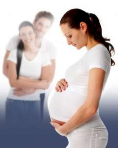 �������� ����������� �����������, ��������� ���������. ����������� ���������� - ����������� 1