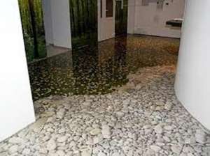 �������� ������������ 3� ����. ������������ ���� - ����������� 1