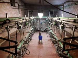 �������� ������������ �� - �������� ��������, ��������, �������� ���� - ����������� 1