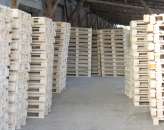 �������� ������������ ����, (�������). ������, ������������ - �������/�������