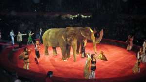 �������� ������������ ����� - ����������� 1