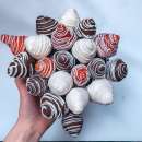 ������� � ����������: �������� ������������ ����� �� �������� � ��������