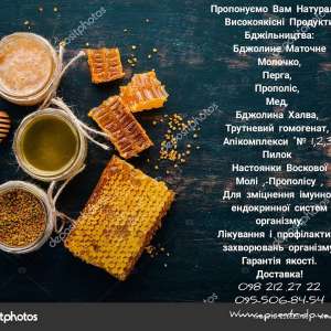 �������� ������������ + ���������� ��������� - ����������� 1