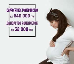 �������� ������������ ����������� (�� 540000 ���) � ��������� ��������� (�� 32000 ���) �ȯ� - ����������� 1