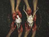 �������� �������������.. �������� - ������