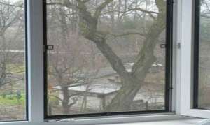 �������� ������������� - ����������� 1