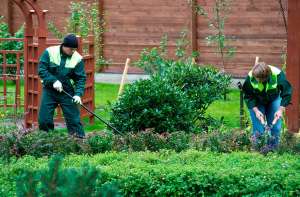 �������� ������������� - ����������� 1