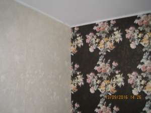 �������� �����,�������� ������. - ����������� 1