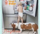 �������� �������������� � ���� �������� ��� � Your Family. �������, �������� - ������