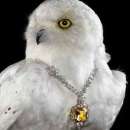 ������� � ����������: �������� �������������� � ���������������