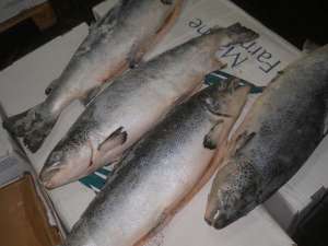 �������� �������������� ���� �� ��� �������! - ����������� 1