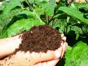 �������� ���������.����� �����"B&S Product". ������ ��� ���� � ������� - ����������� 1