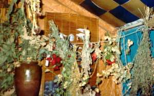 �������� ��������������� ����� �������� ���� � �������� - ����������� 1