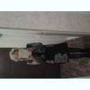 ������� � ����������: �������� ���������������� �������� �������