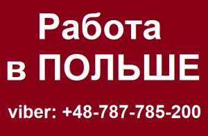 ��������: ����������������. ���������� ��������������� � ������ 2019 - ����������� 1