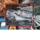 ������� � ����������: ��������( �����������������)