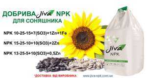 ��������Ͳ ̲������Ͳ ������� JIVA ��� ��������� - ����������� 1