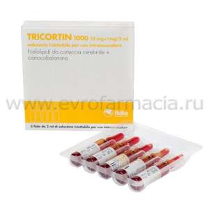 ��������� 1000 2�� 5 ����� - ����������� 1