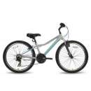 ��������� 24` Brave 21 2016 Pride, ����-�����. ������� ��� - �������/�������