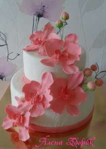 ��������� 2-� ������� ����� ���� � �������� ������� ������� - ����������� 1