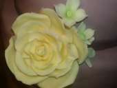 ��������� 2-� ������� ��������� ���� � ������ ����� ������� - ����������� 2