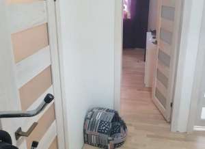 ��������� 2-� ��������� �������� � ��������, �������� - ����������� 1