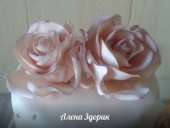 ��������� 3-� ���c��� �����-���������� ���� � ������ � ���������� ������ - ����������� 3