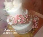 ��������� 3-� ������� ���� � ������� � ��������� ������ - ����������� 3