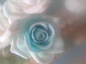 ��������� 3-� ������� ���� � ����-������� ����� � �������� � ��������� ������ ��� - ����������� 2