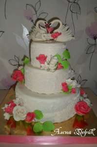 ��������� 3-� ������� ����� ���� � �������� � ������ - ����������� 1