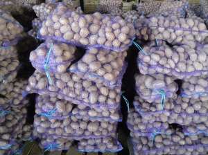 ��������� 5+ ��� �� ������������� - ����������� 1