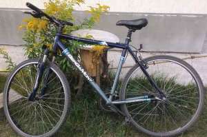 ��������� BERGAMONT - ����������� 1