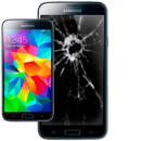 ���������. ������ ������ - ������