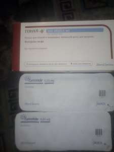 ��������� - ����������� 1