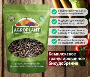 ��������� - ����������� 1