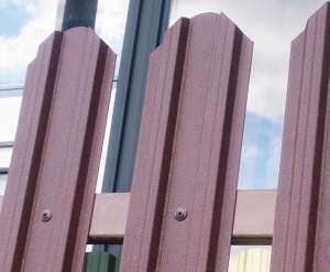 ��������� - ����������� 1