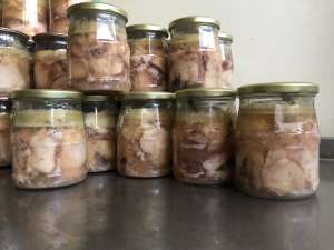 ��������� ̑��� ����� - ����������� 1