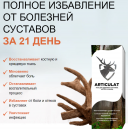 ������� � ����������: ��������� � ���� ��� ������� ��������