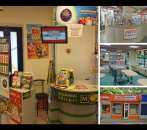 ������� � ����������: ��������� � ���� ������� ���������-������������.